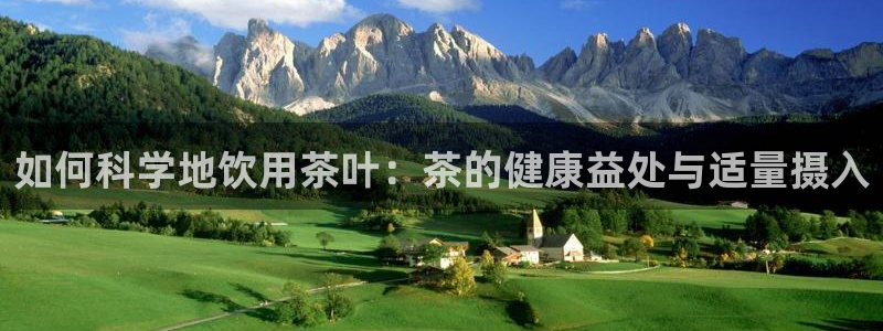 鸿运外贸直播平台