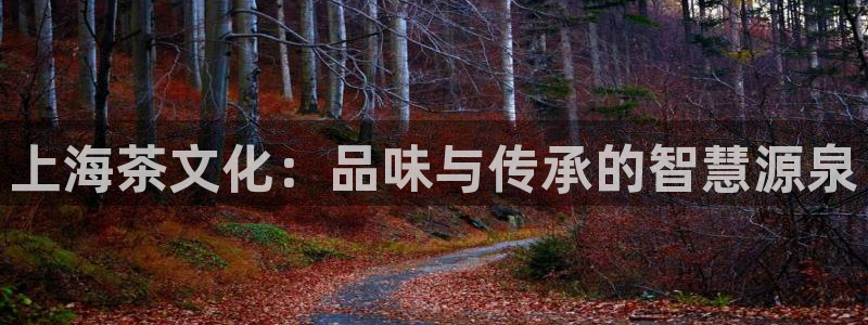 琥珀鸿运平台靠谱吗