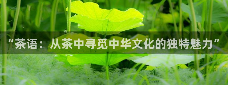 鸿运棋牌app游戏平台