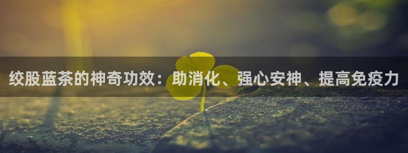 鸿运布艺团购平台