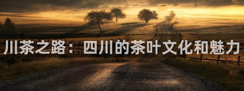 鸿运市场直播平台