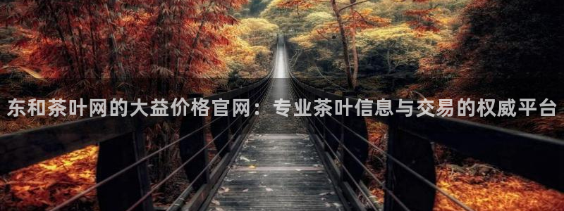 鸿运公司滴滴平台