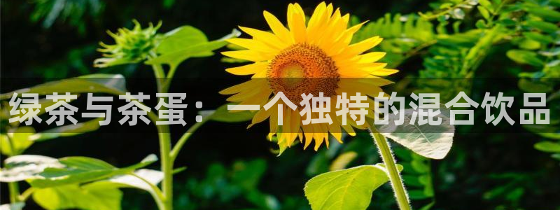 鸿运商城云平台