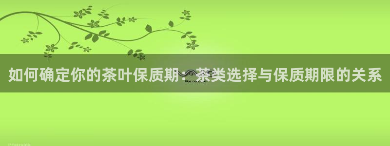 鸿运最佳网投平台