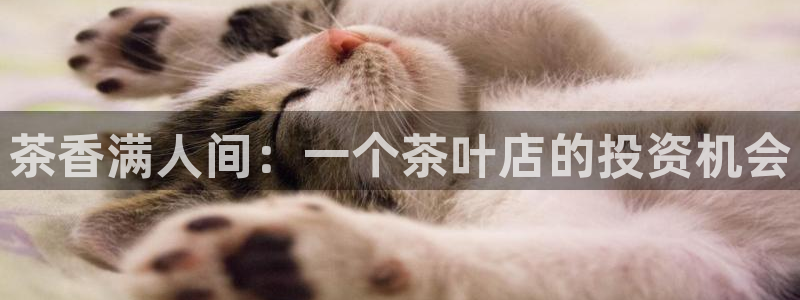 鸿运串串团购平台