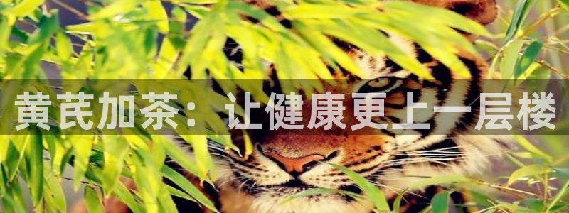 鸿运挖矿平台注册