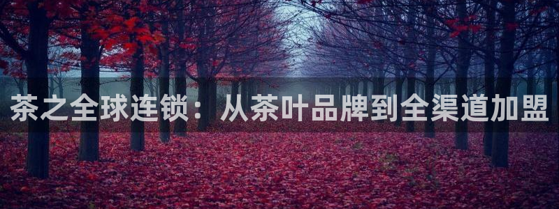 鸿运聊天计划平台