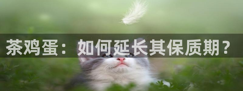 鸿运商滴管理平台