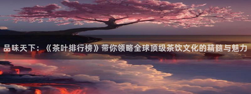 鸿运公司滴滴平台