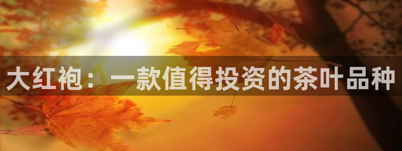 鸿运彩票平台的网址