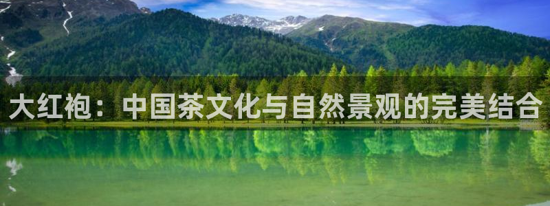 鸿运链锁管理平台
