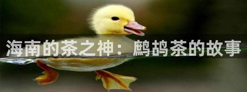 鸿运主播平台