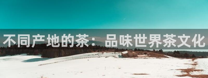 中国鸿运是什么平台