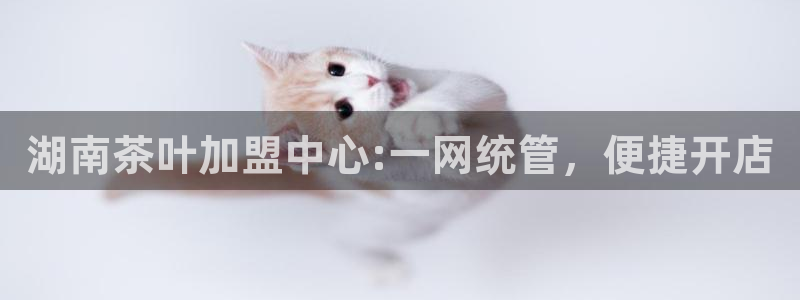 鸿运连锁管理平台