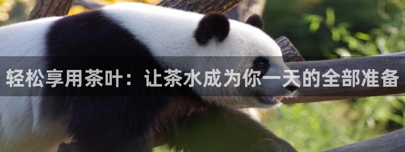 鸿运做单平台
