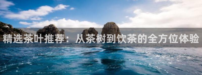 鸿运购彩专业平台