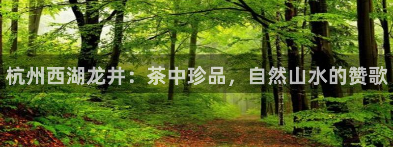 鸿运串串团购平台