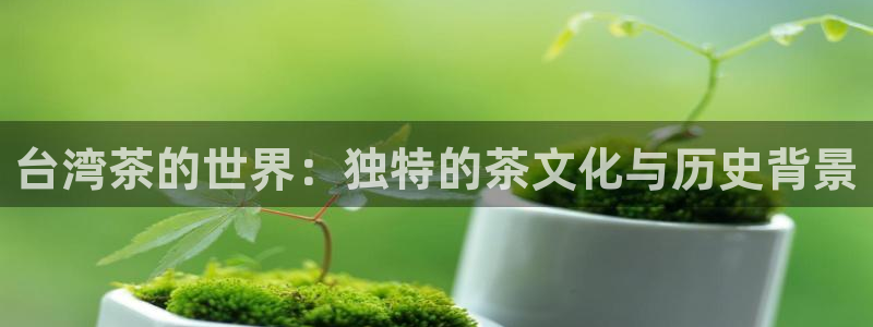 鸿运国际平台平台介绍