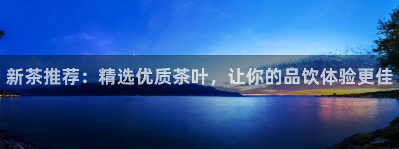 鸿运彩票网络平台