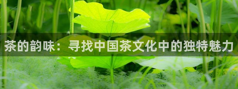 鸿运采购平台