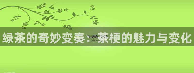 鸿运通宝平台