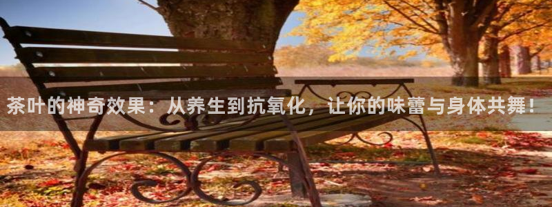 鸿运游戏平台投注