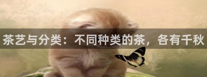 鸿运国际彩票平台
