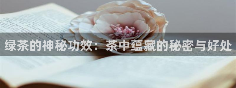鸿运彩票专业购买平台