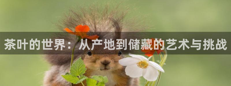 鸿运app平台