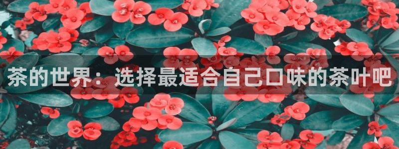 大发云鸿运平台