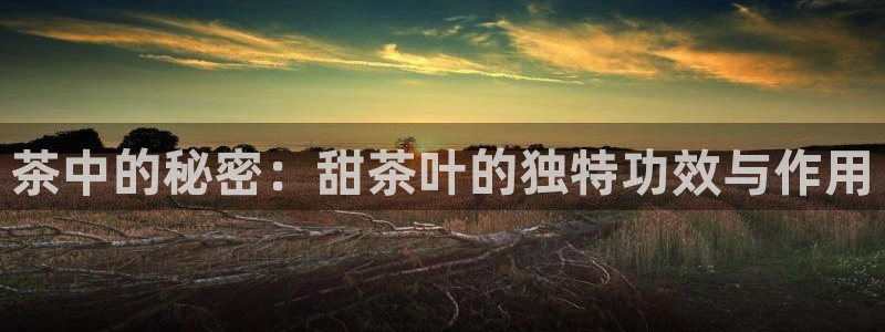鸿运信息平台