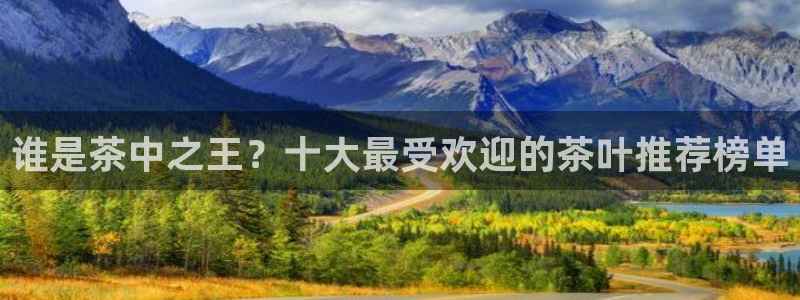 鸿运专业购彩平台网止