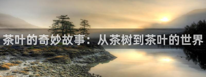 鸿运小说阅读平台