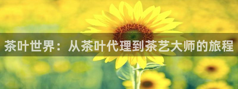 鸿运平台是骗子平台吗