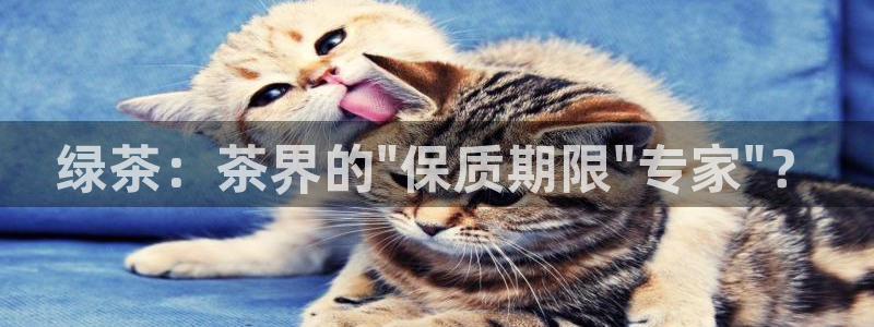 众信鸿运平台