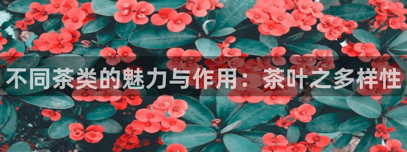 鸿运网平台用户