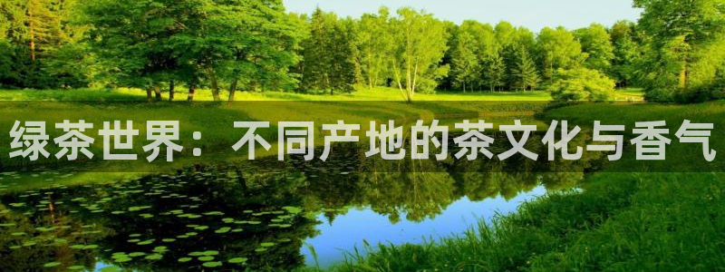 鸿运宝金融投资平台