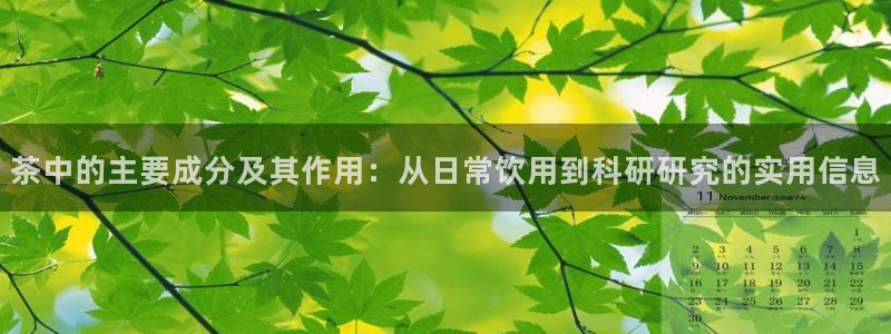 鸿运锦囊是什么平台