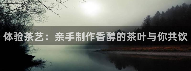 国际鸿运手机版平台