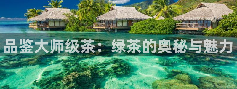 鸿运采购平台
