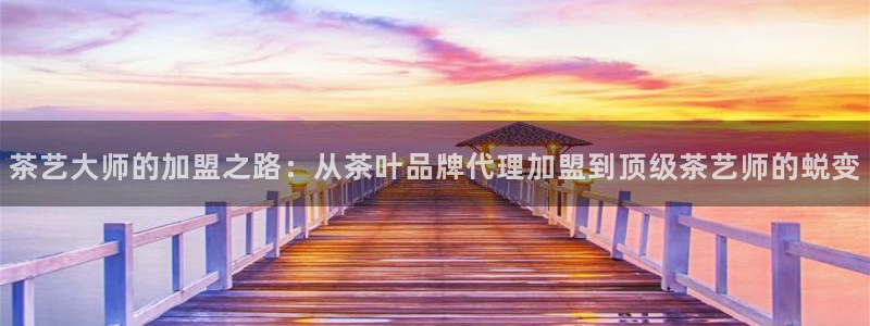 鸿运华宁技术平台