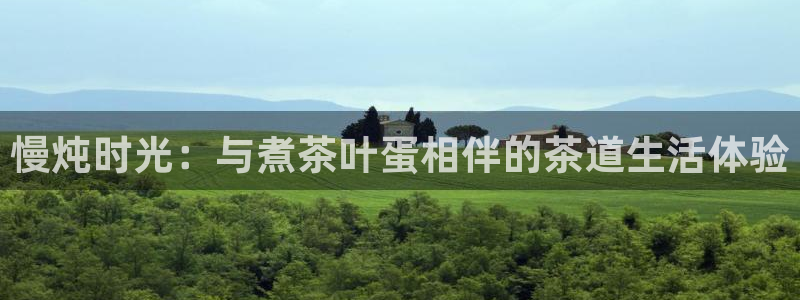 鸿运快三平台