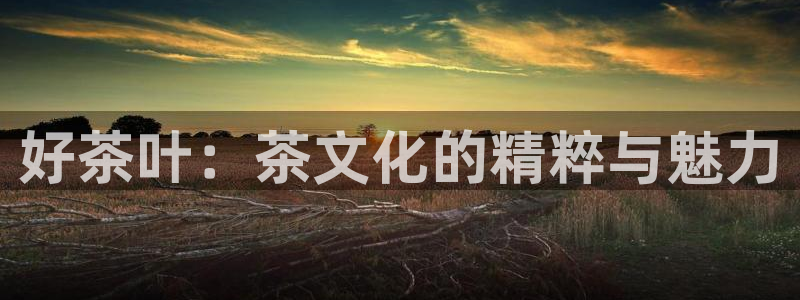 鸿运平台代理台
