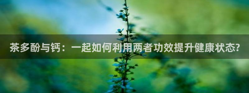 鸿运平台兼职可靠吗