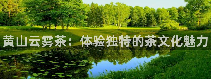 ZJ鸿运平台