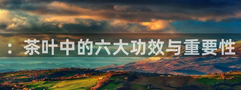 鸿运连连平台