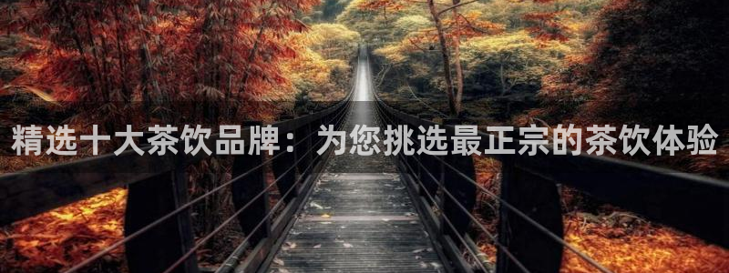鸿运宝投资理财平台