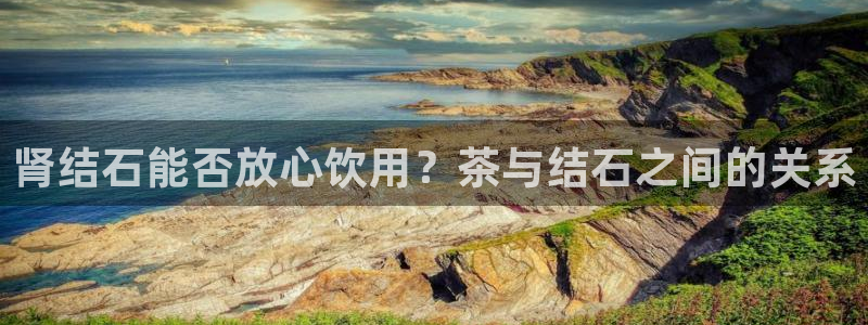 下载鸿运平台