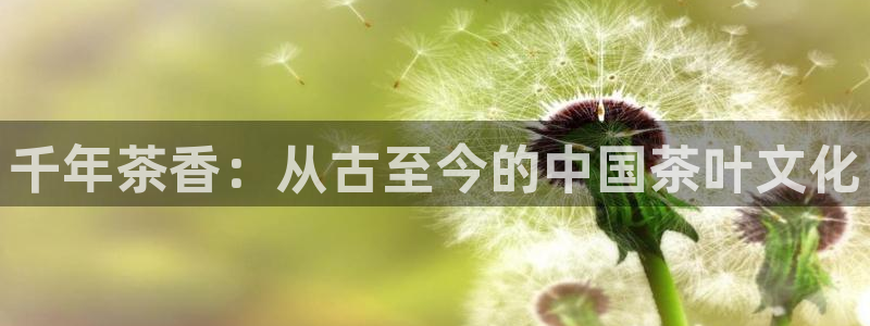 鸿运策略平台股票骗局