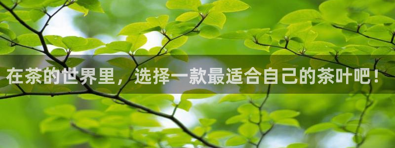 鸿运国际彩票平台
